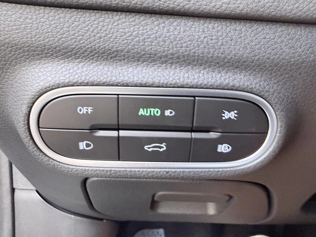 Pro 49 kWh / Verwarmd-Stuurwiel / 360Graden-Camera / DAB-Radio / Carplay /