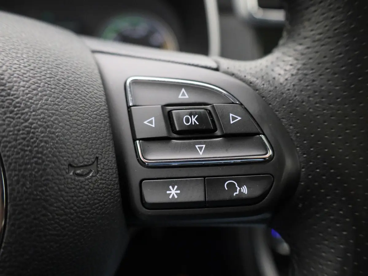 Luxury 45 kWh | Leder | Panoramadak | CarPlay | Stoelverwarming | Camera |