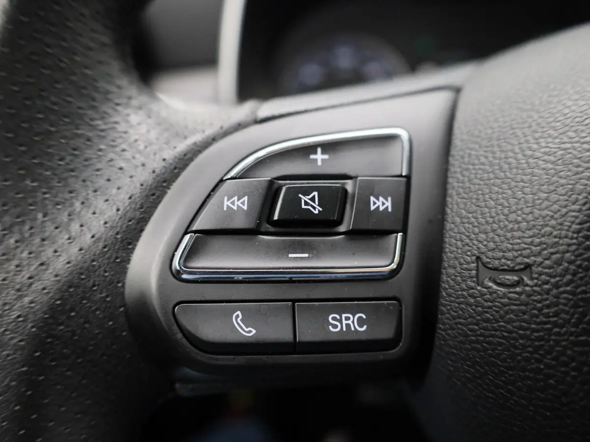 Luxury 45 kWh | Leder | Panoramadak | CarPlay | Stoelverwarming | Camera |