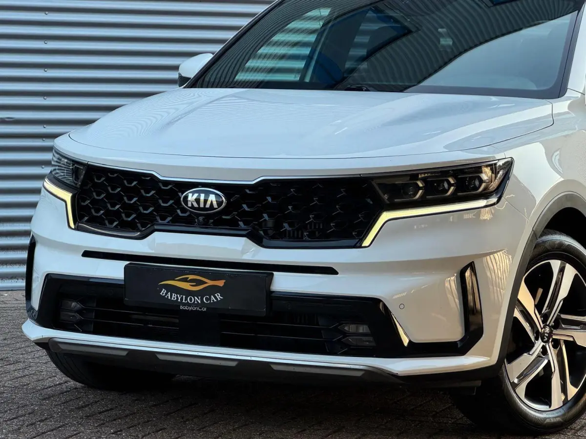 1.6 TGDI Hybrid Emotion P. Luxury 2WD 7p./360 camera/Panodak