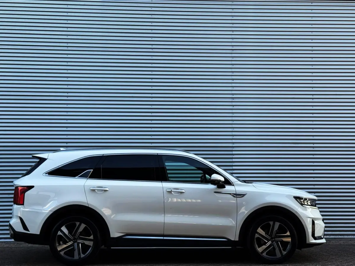 1.6 TGDI Hybrid Emotion P. Luxury 2WD 7p./360 camera/Panodak
