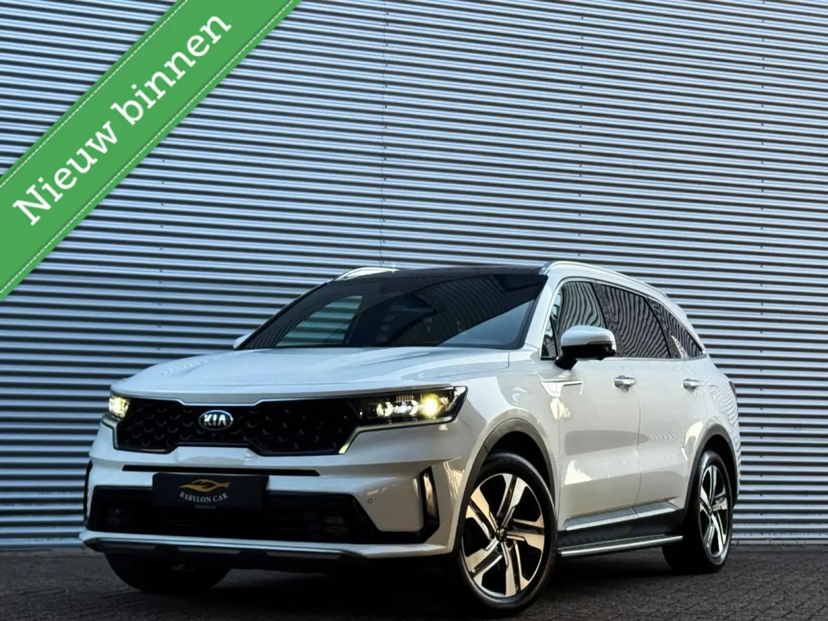 1.6 TGDI Hybrid Emotion P. Luxury 2WD 7p./360 camera/Panodak