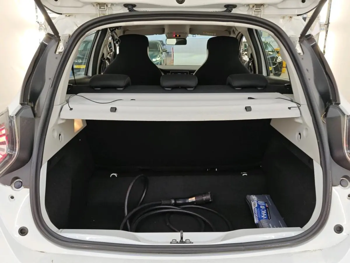 R110 LIFE 52 kWh (87% SOH) I KOOPACCU I NAVIGATIESYSTEEM I P-SENSOREN I CLIMATE CONTROL