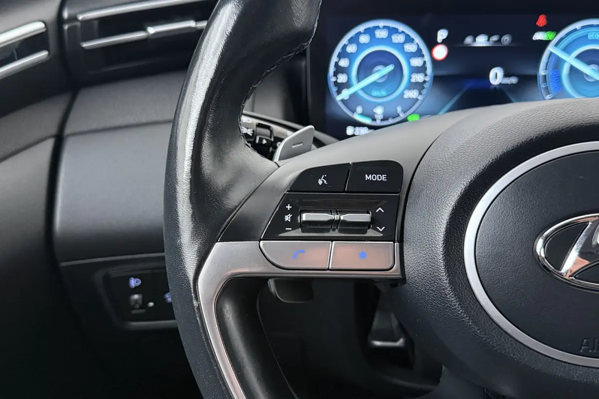 1.6 265 PK Aut. T-GDI PHEV 4WD Adapt.Cruise Trekhaak Camera