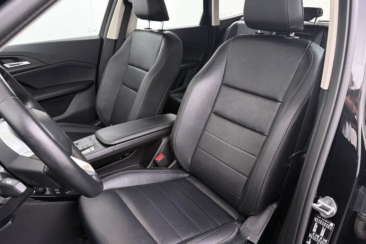xDrive30e Carplay Camera Leder