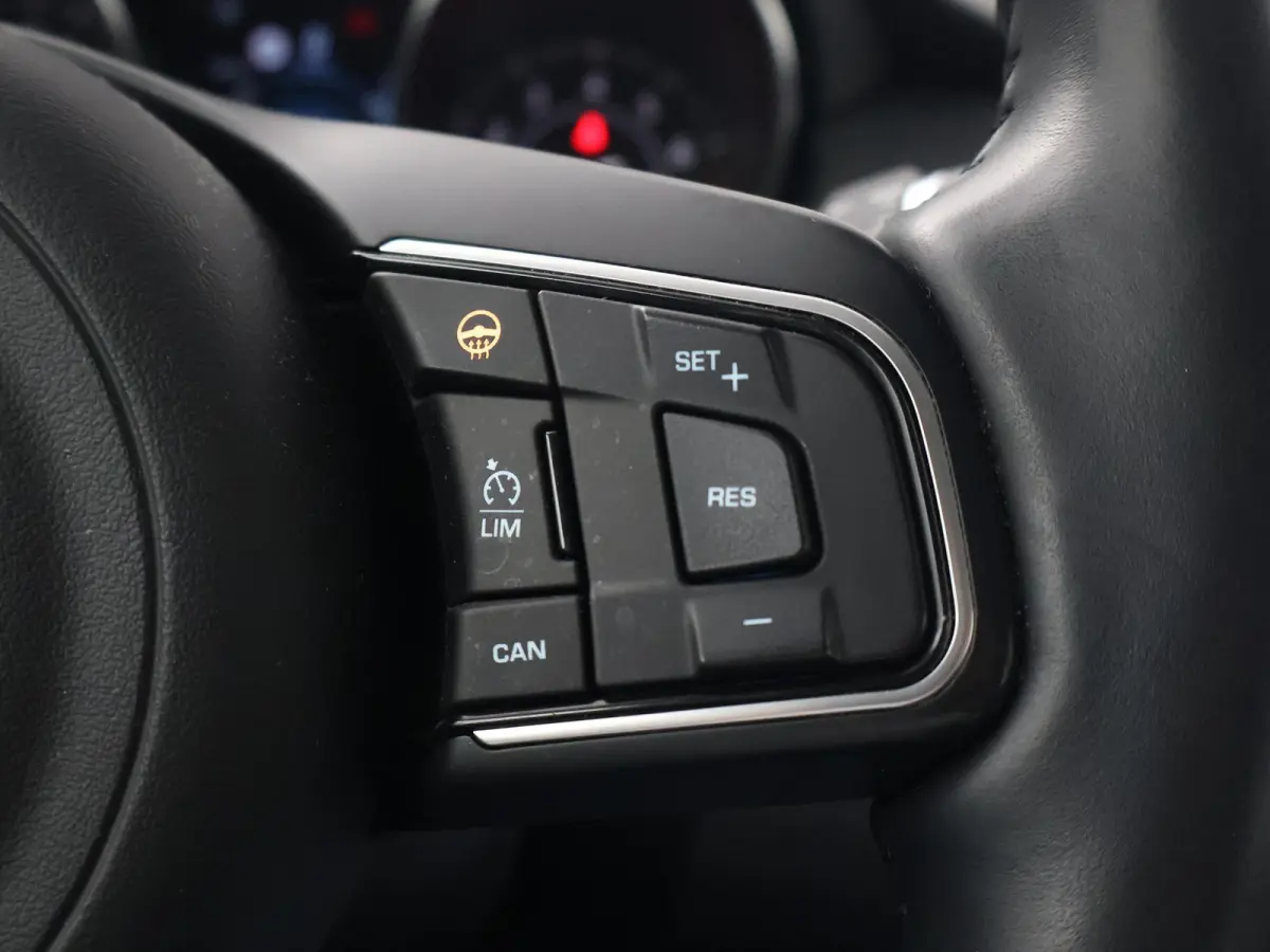 2.0 P200 AWD S + CARPLAY | AFN. TREKHAAK | STANDKACHEL | LEDER | CAMERA
