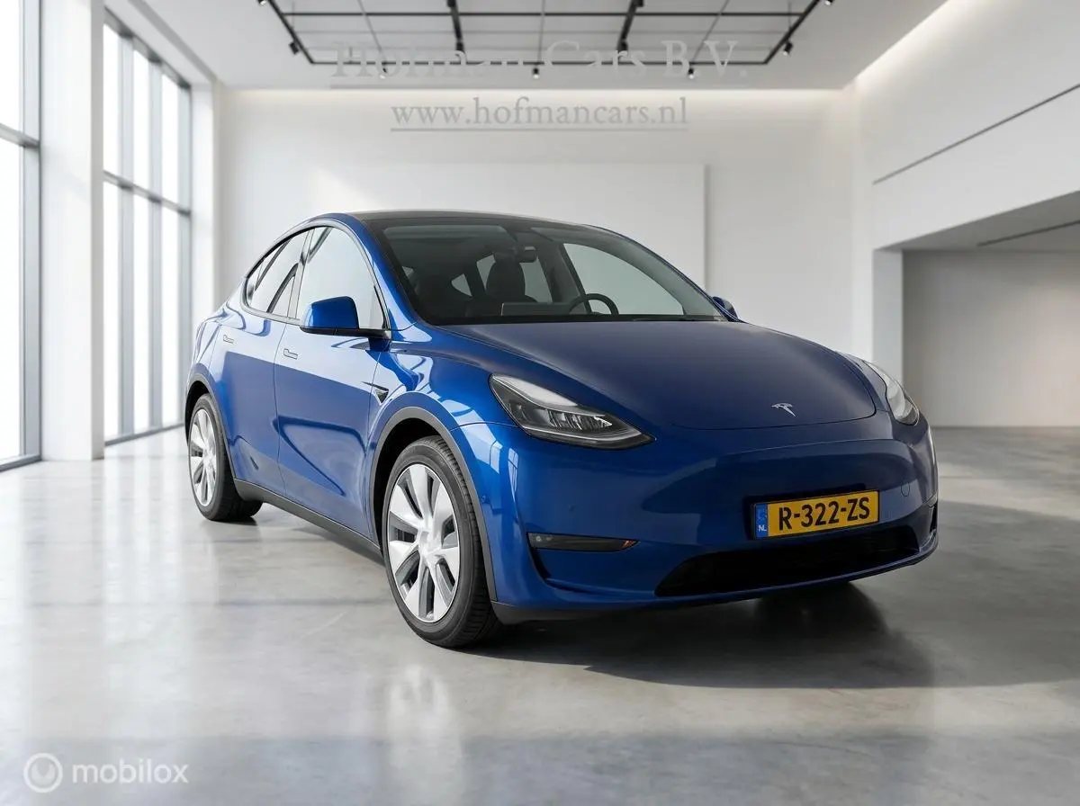 RWD 58 kWh LFP | Ryzen | Trekhaak 1600 kg | SOH 89% | Wit Leder | Incl. BTW