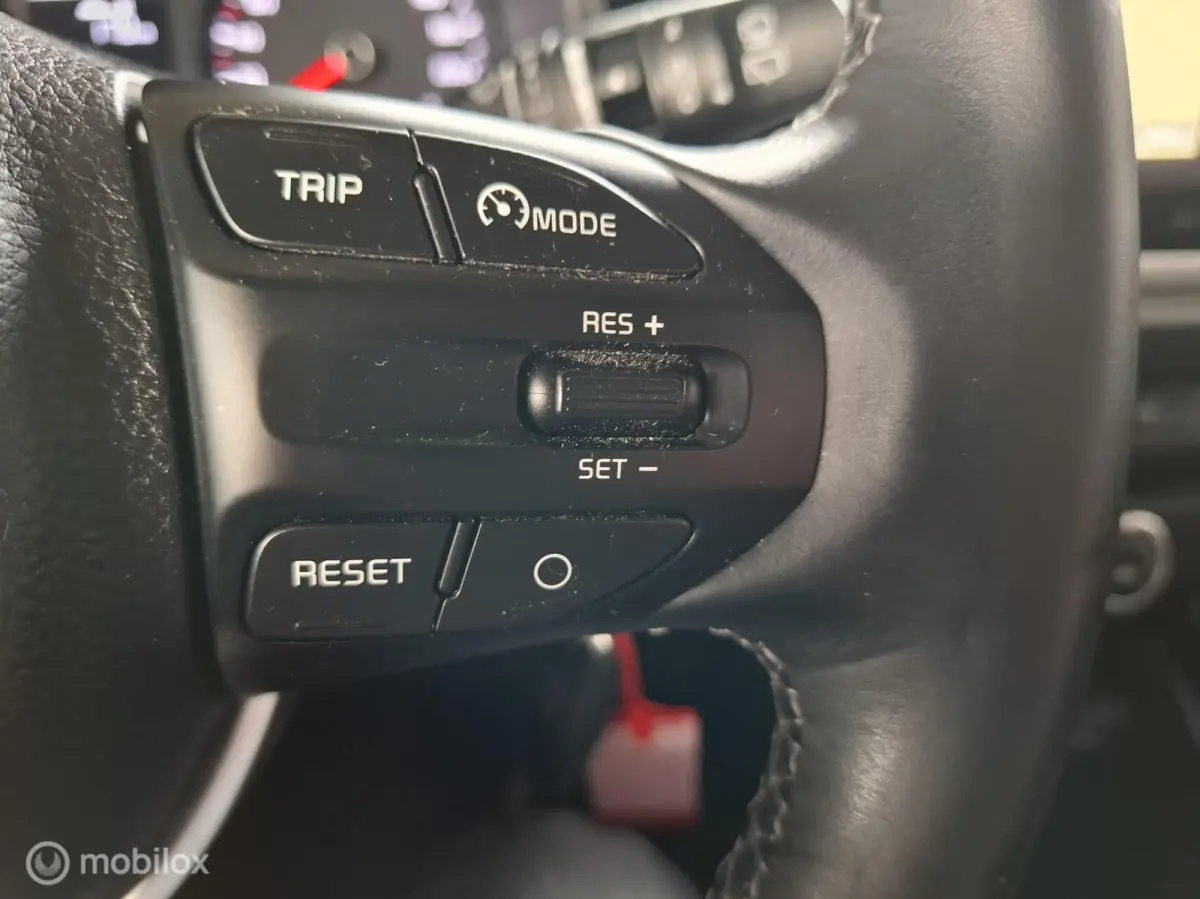 1.0 TGDI DynamicLine | PARK. SENSOR | TREKHAAK - RIJKLAARPRIJS
