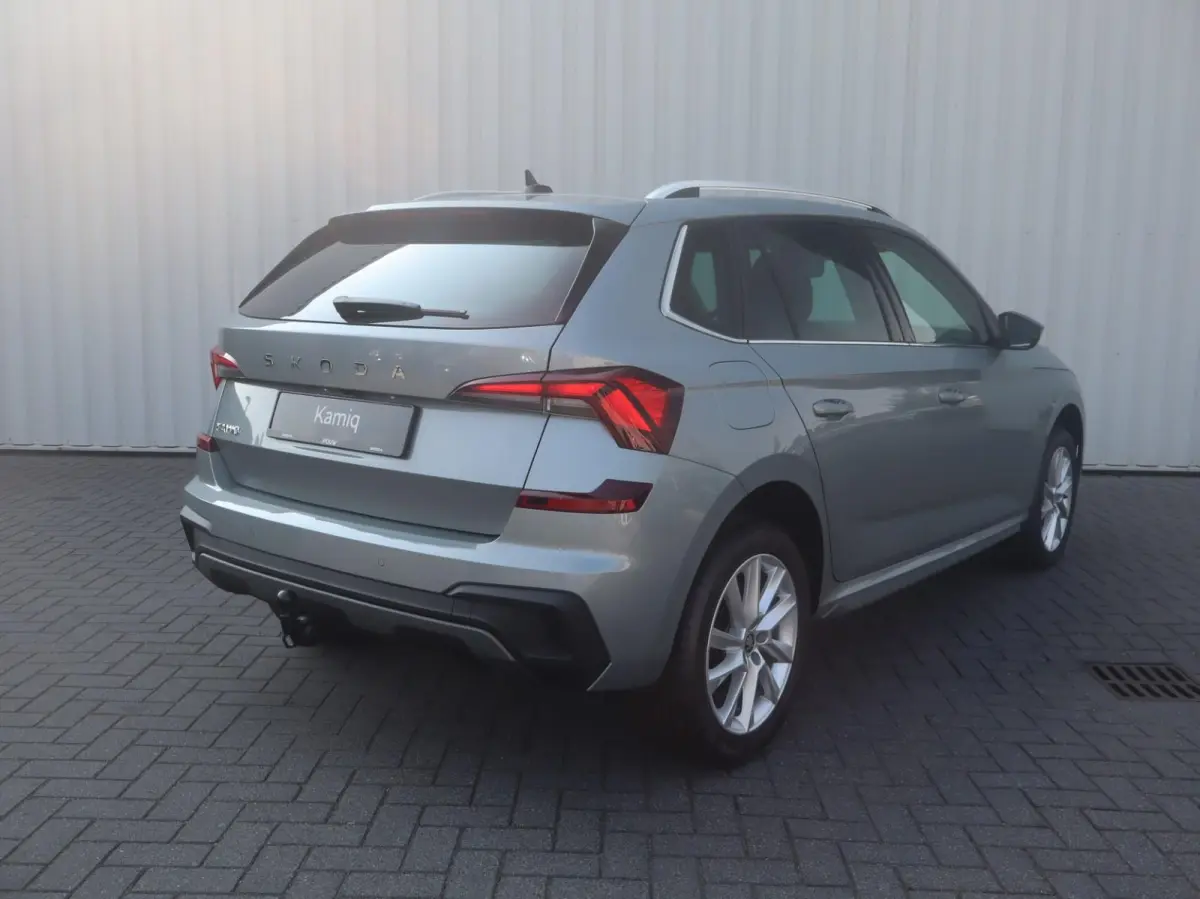 1.0 TSI 115pk DSG Business Edition | Trekhaak | Winter Pakket | 17" Velgen