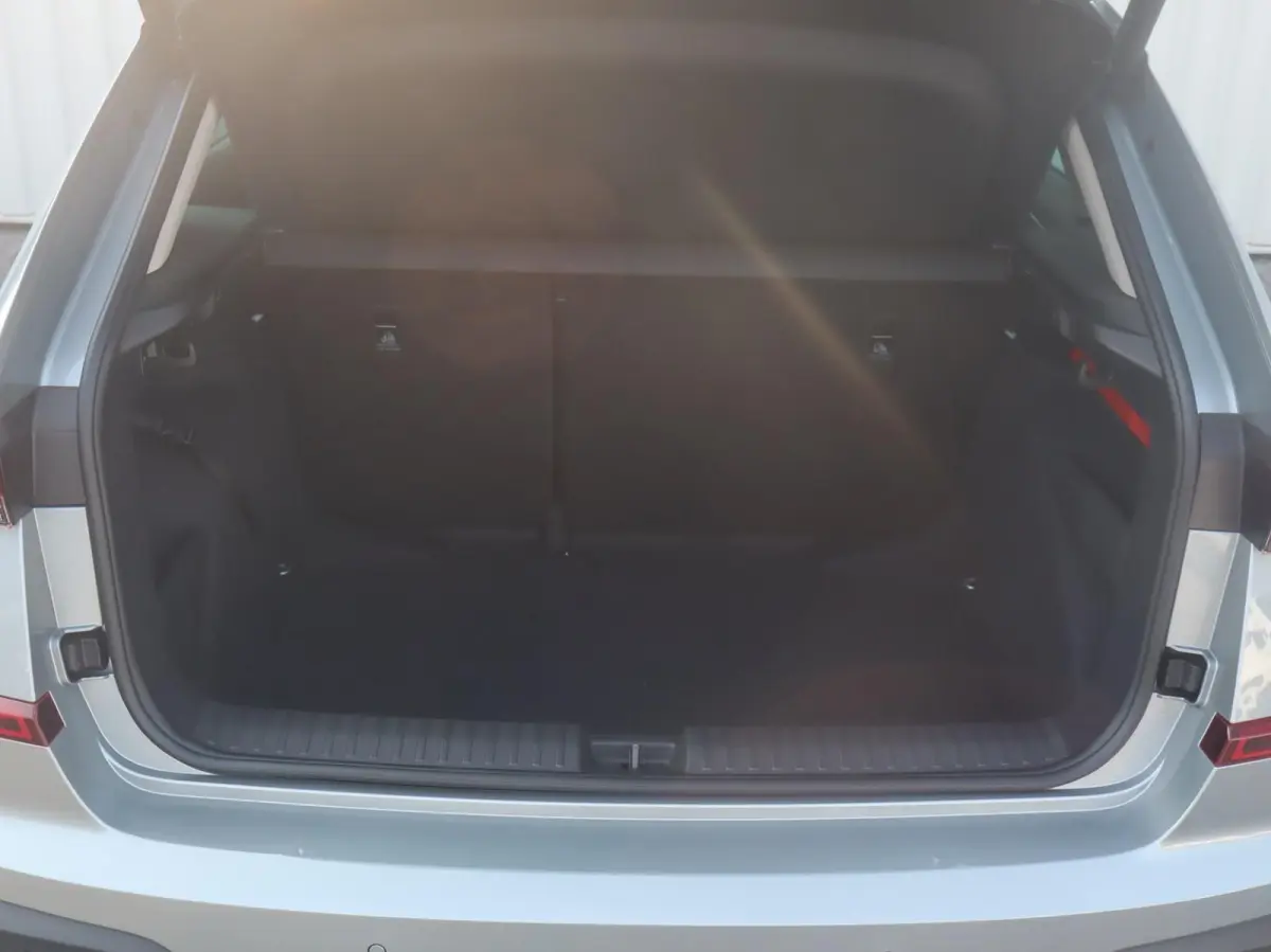 1.0 TSI 115pk DSG Business Edition | Trekhaak | Winter Pakket | 17" Velgen