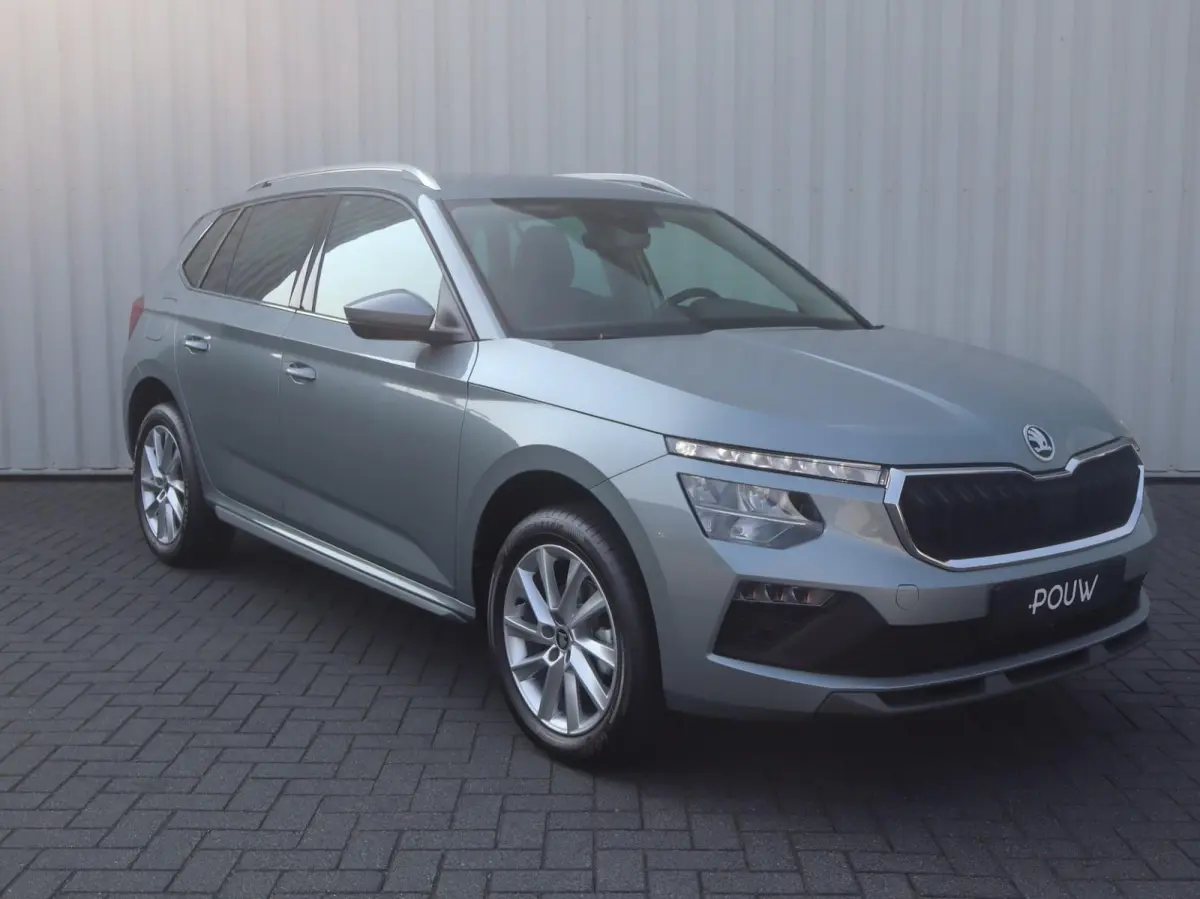 1.0 TSI 115pk DSG Business Edition | Trekhaak | Winter Pakket | 17" Velgen