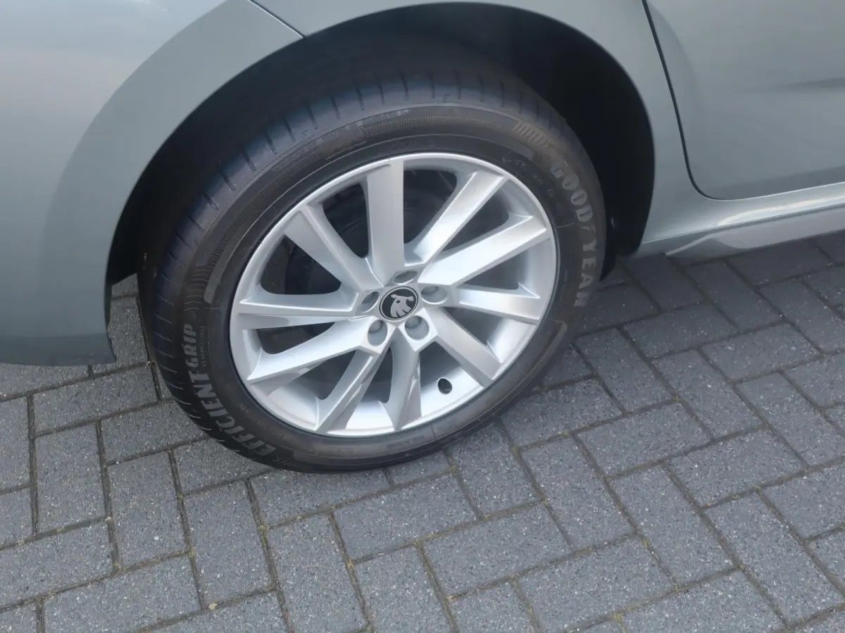 1.0 TSI 115pk DSG Business Edition | Trekhaak | Winter Pakket | 17" Velgen