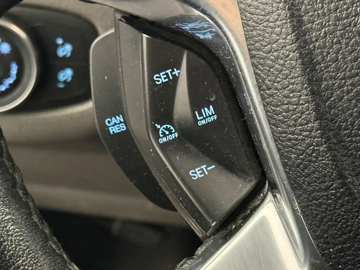 1.5 EcoBlue L2 Trend Handel/Export Airco Cruise Control Trekhaak