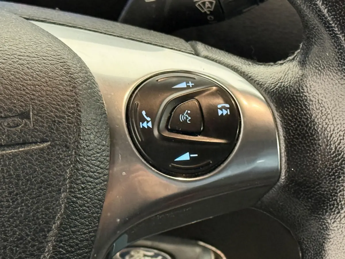 1.5 EcoBlue L2 Trend Handel/Export Airco Cruise Control Trekhaak