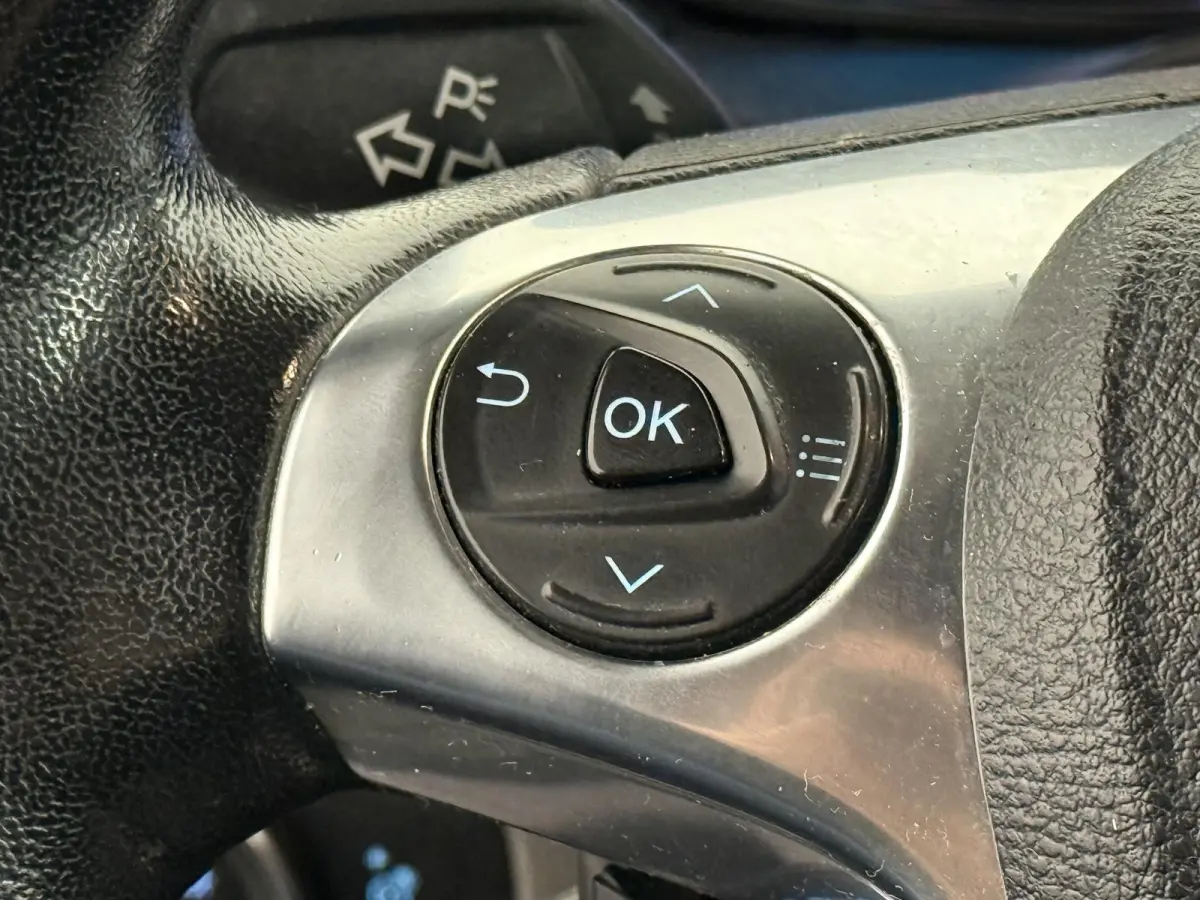 1.5 EcoBlue L2 Trend Handel/Export Airco Cruise Control Trekhaak