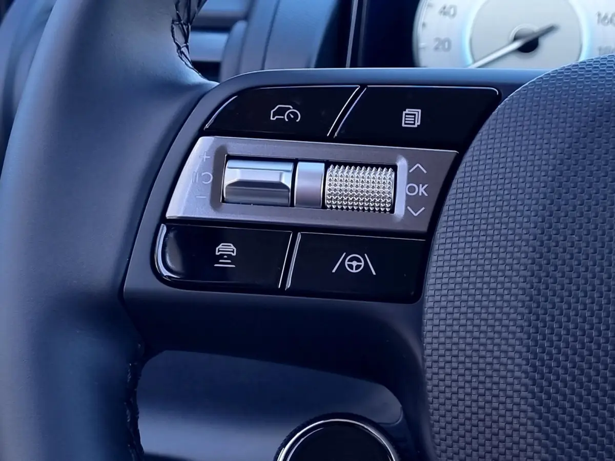 Pulse 49 kWh / €2000,- Voordeel / Snel Leverbaar / Rijklaarprijs / Winter Pack / Keyless / Adaptive Cruise /