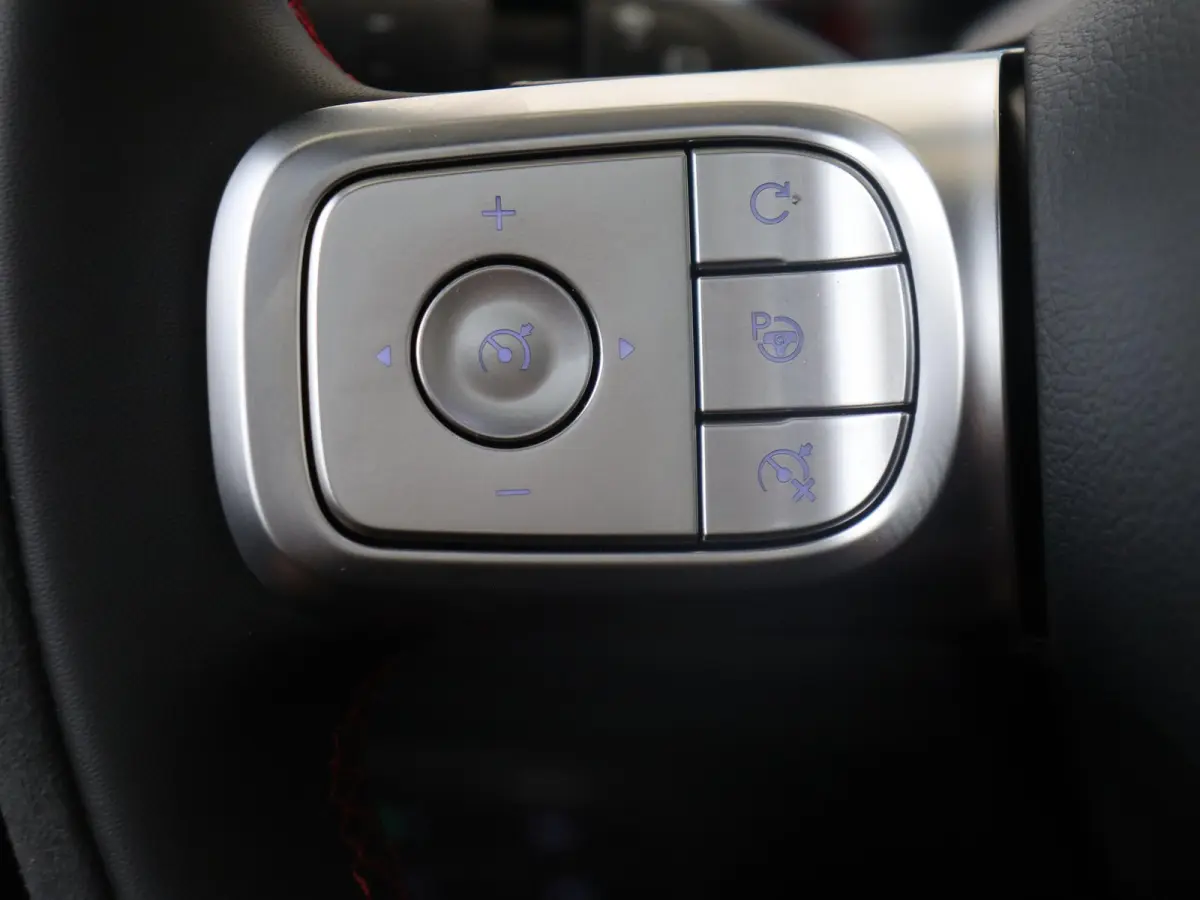 BRABUS 66 kWh / Memory-Stoelen / Carplay / 360Graden-Camera /