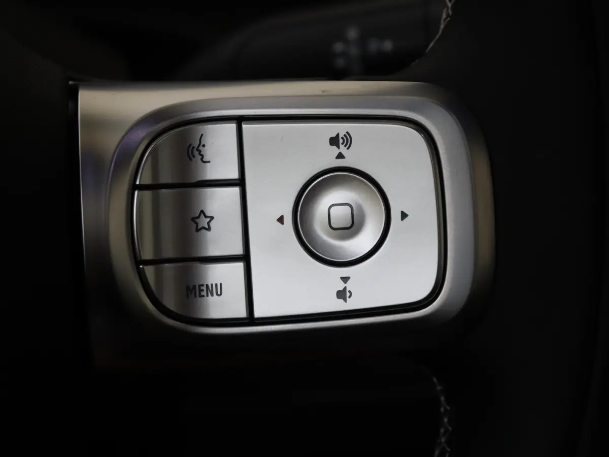 Pro / Verwarmd stuurwiel/ Keyless entry/ 13-inch OLED centraal scherm/ Stoelverwarming voorstoelen