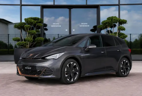 Performance 82 kWh | SOH 95,39%
