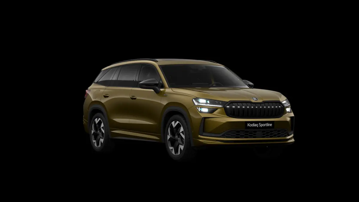1.5 TSI 204pk PHEV Sportline Limited | Trekhaak Pakket | Comfort Pakket | Winter Pakket