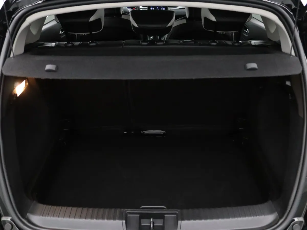 100pk TCe Intens Apple Carplay/Android Auto | Climate