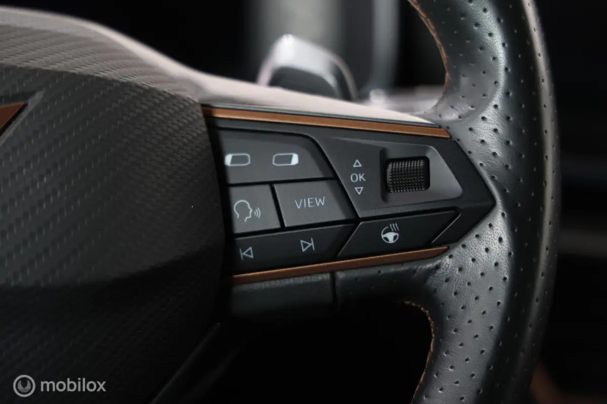 VZ 1.4 e-Hybrid Business - Trekhaak elektrisch - Carplay - Stuur/Stoelverwarming