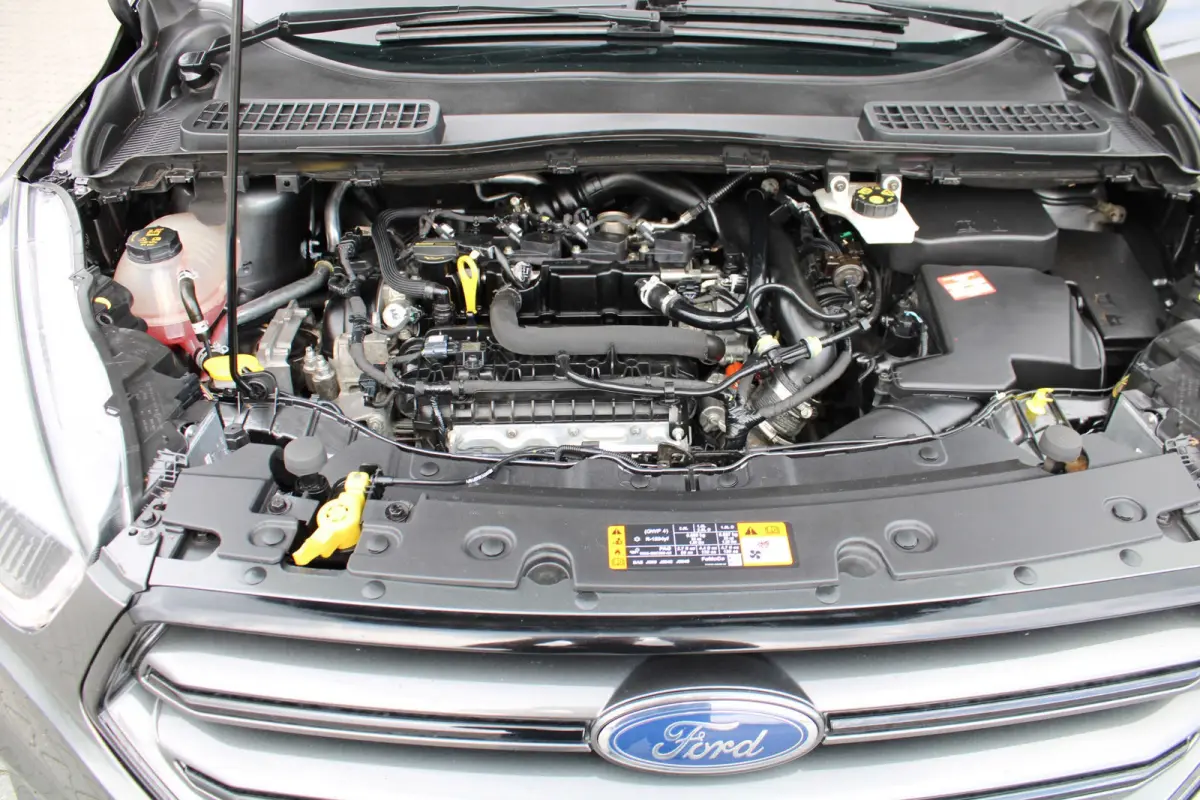 1.5 EcoBoost 150PK|ST-LINE|18''LM|CAMERA|WINTERPACK|VOLL