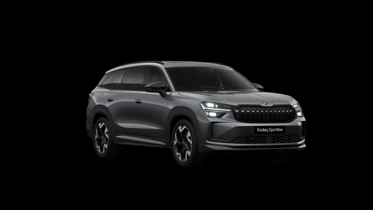 1.5 TSI 204pk PHEV Sportline Business | Winter Pakket | Panoramadak