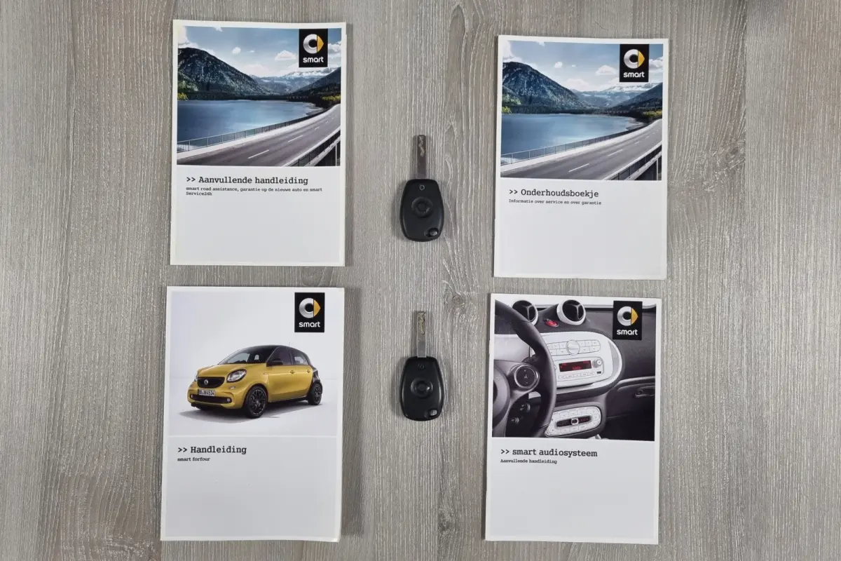 1.0 Passion **RIJKLAAR**, 2e eigenaar, Climate control, Bluetooth, Cruise control, LED.