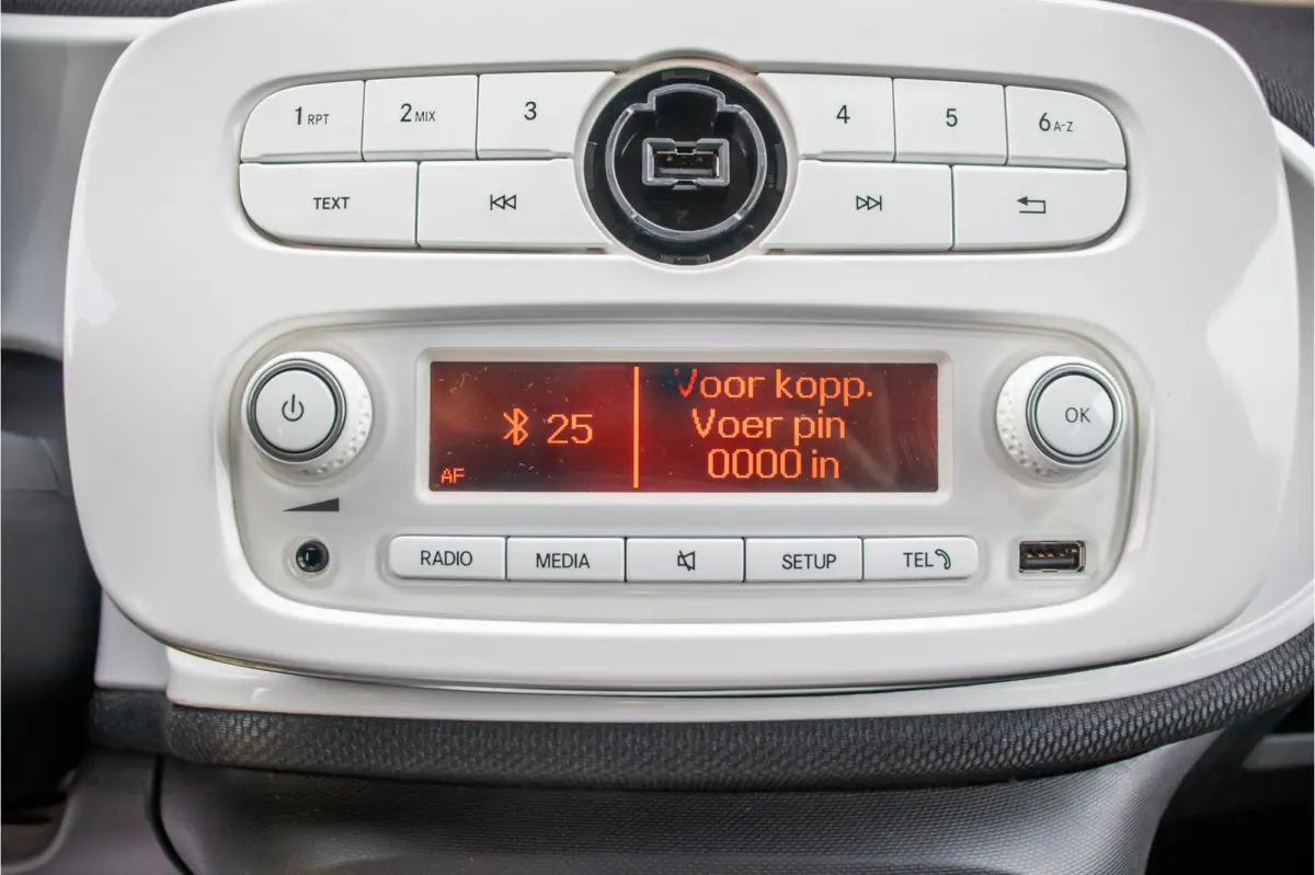 1.0 Passion **RIJKLAAR**, 2e eigenaar, Climate control, Bluetooth, Cruise control, LED.
