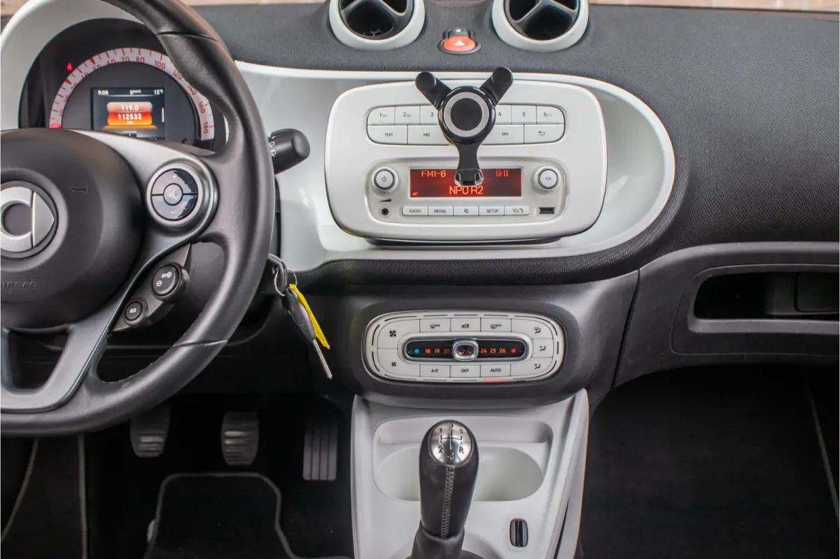 1.0 Passion **RIJKLAAR**, 2e eigenaar, Climate control, Bluetooth, Cruise control, LED.