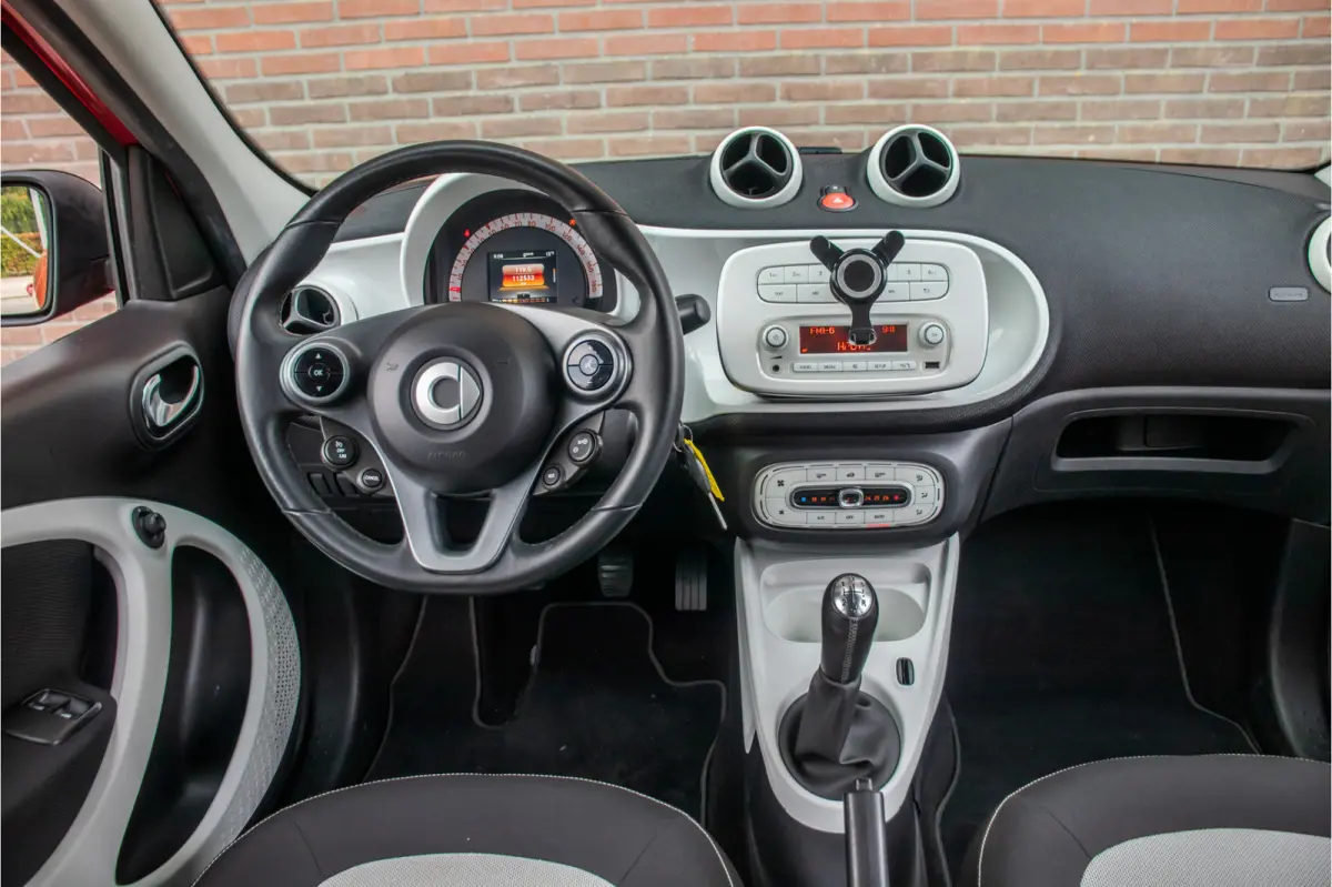 1.0 Passion **RIJKLAAR**, 2e eigenaar, Climate control, Bluetooth, Cruise control, LED.