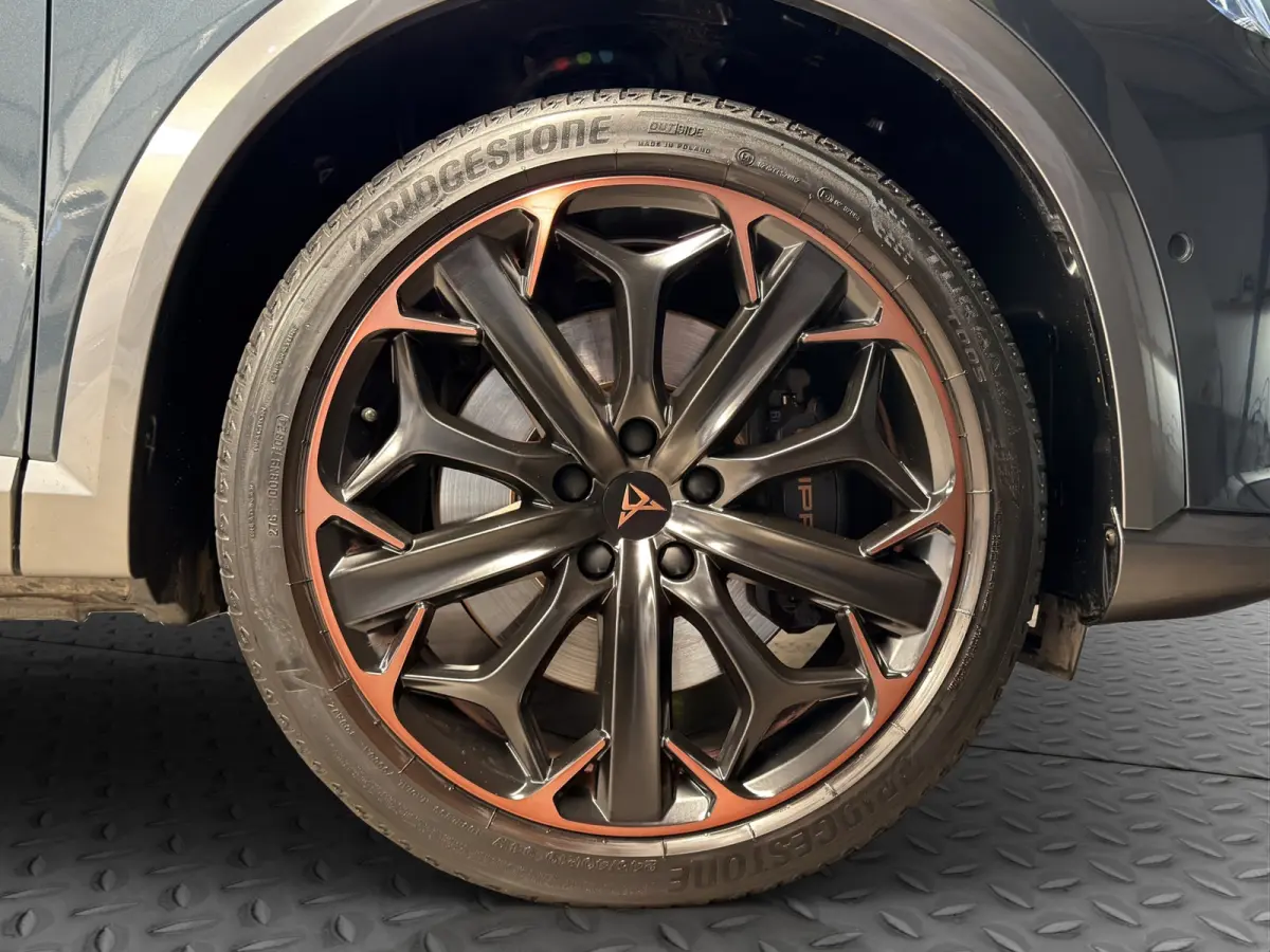 1.4 e-Hybrid VZ Copper|360|Memory|Matrix|DCC|Sportstuur|EL.A.Klep