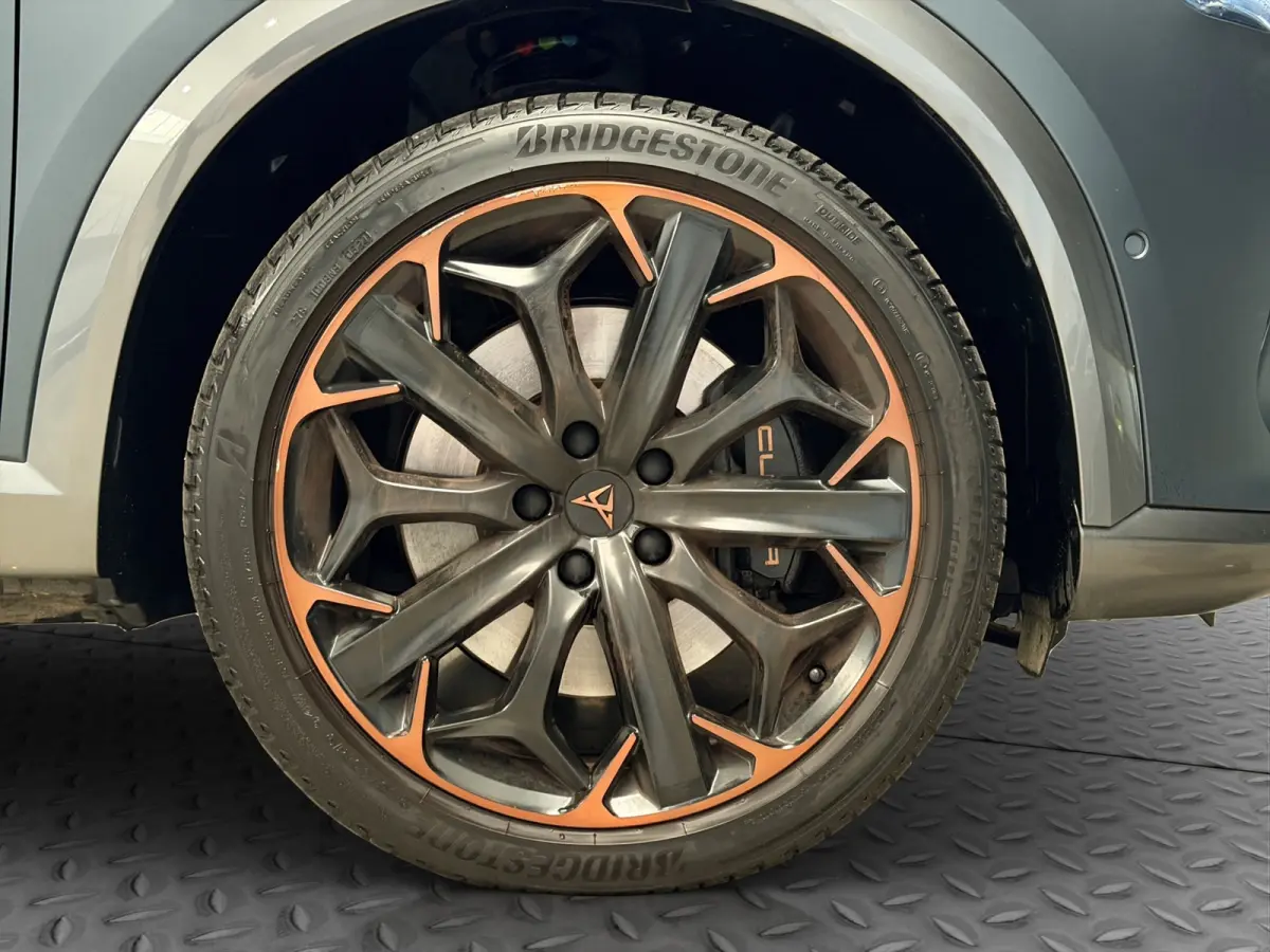 1.4 TSI e-Hybrid VZ Copper|Pano|Memory|EL.Trekh|DCC|Leder|Matrix LED