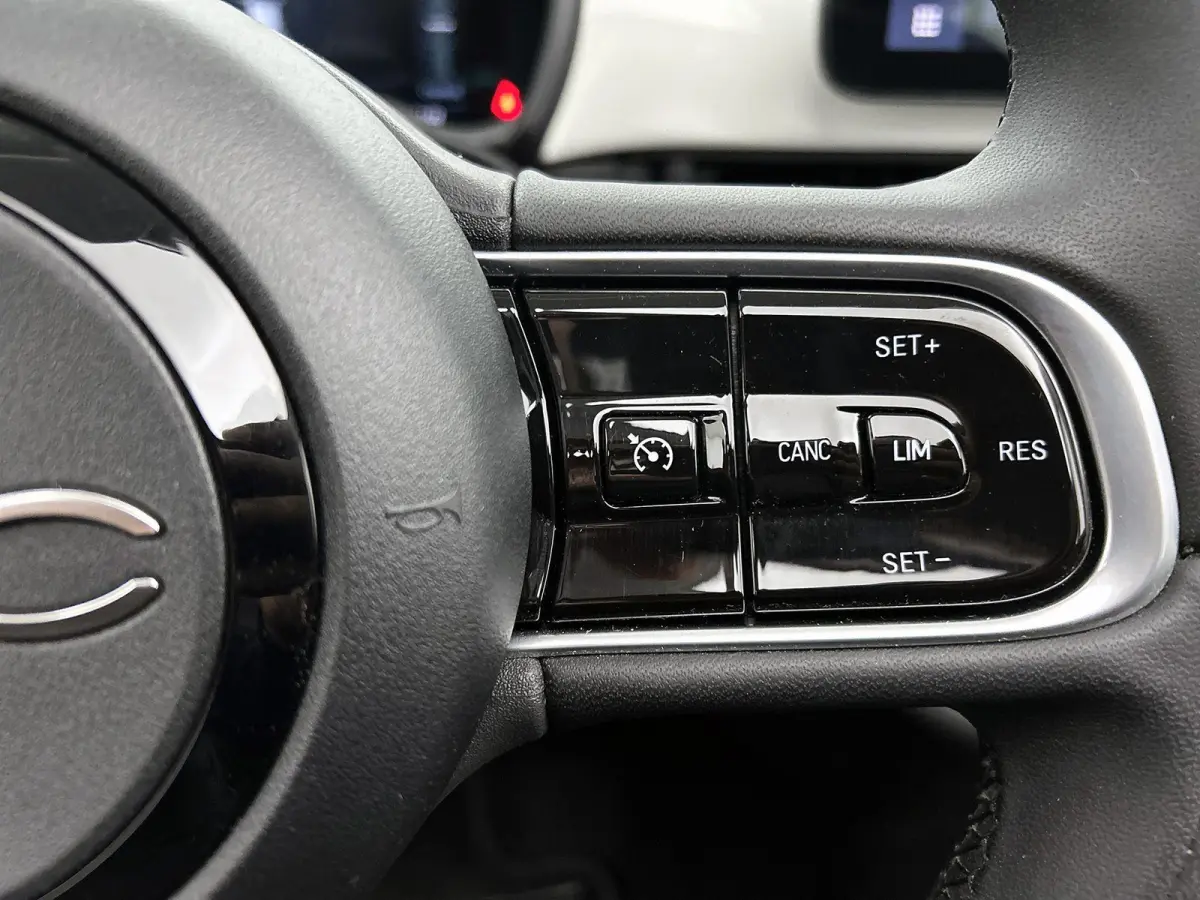 118pk Icon 42 kWh Automaat | Apple Carplay/Android Auto | ACCU 95% | Climate Control | Cruise Control | Camera | Parkeersensoren V+A | 16"LMV | LED |