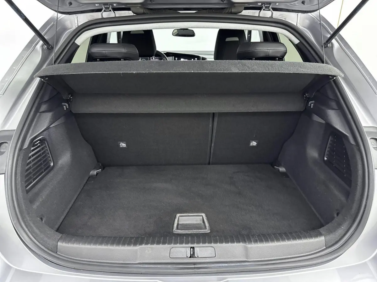 100pk Elegance | Navigatie | Camera | Lichtmetalen velgen | Climate control |