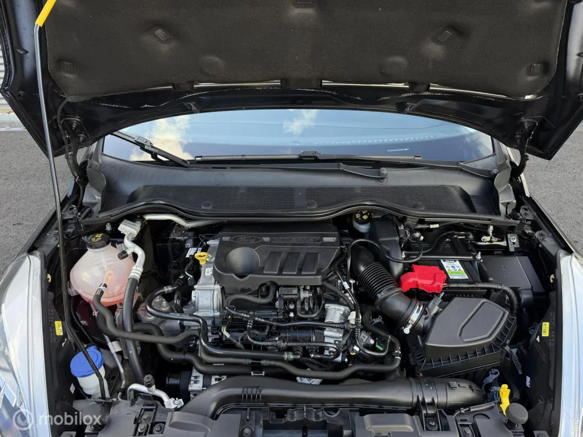 1.0 EcoBoost Connected | Carplay | Airco | Cruise | DAB | Parkeersensor | Isofix | LED | Lichtmetalen velgen