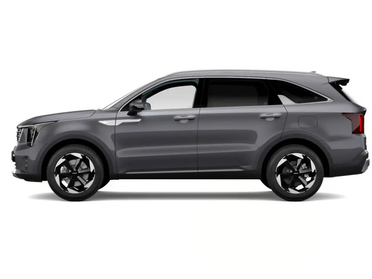 1.6 T-GDi Plug-in Hybrid 4WD ExecutiveLine 7p | Actieprijs* | Navi. | Clima. | Stoel&Stuur Verwarming | Panodak | Dodehoekassistentie | Parkeersensoren | Bose Sound Systeem