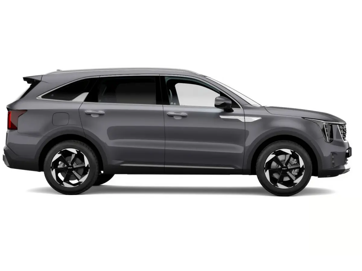 1.6 T-GDi Plug-in Hybrid 4WD ExecutiveLine 7p | Actieprijs* | Navi. | Clima. | Stoel&Stuur Verwarming | Panodak | Dodehoekassistentie | Parkeersensoren | Bose Sound Systeem