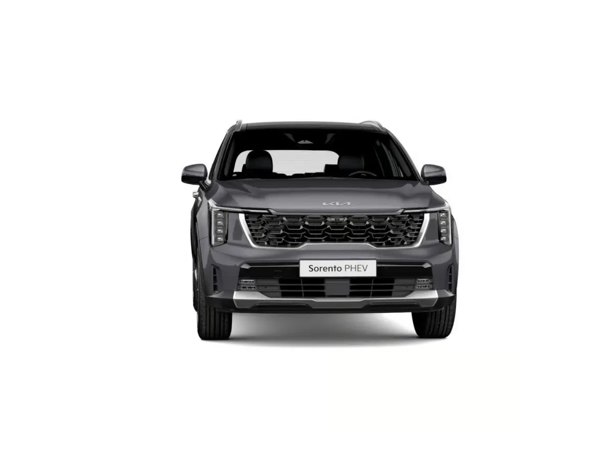1.6 T-GDi Plug-in Hybrid 4WD ExecutiveLine 7p | Actieprijs* | Navi. | Clima. | Stoel&Stuur Verwarming | Panodak | Dodehoekassistentie | Parkeersensoren | Bose Sound Systeem