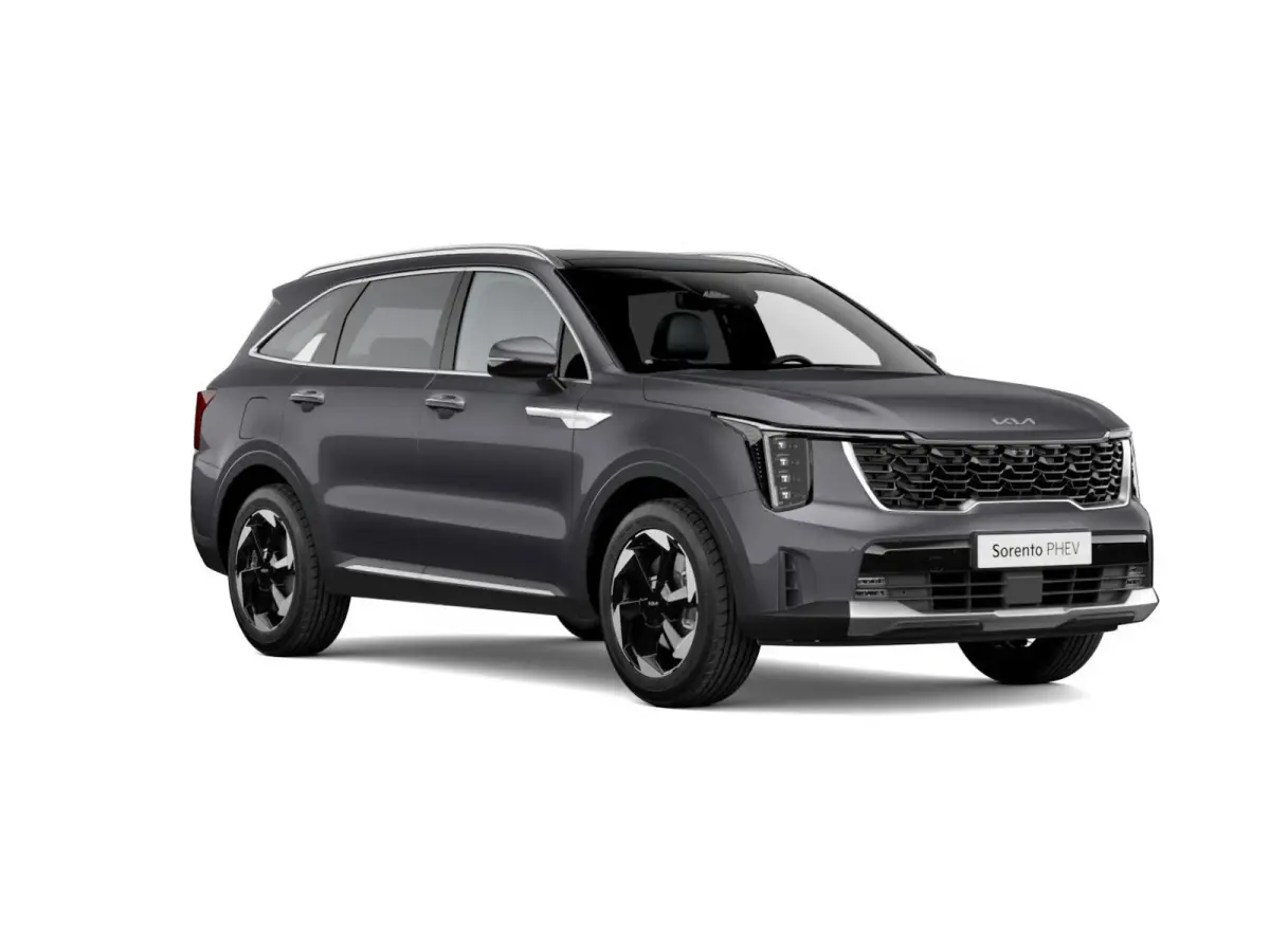 1.6 T-GDi Plug-in Hybrid 4WD ExecutiveLine 7p | Actieprijs* | Navi. | Clima. | Stoel&Stuur Verwarming | Panodak | Dodehoekassistentie | Parkeersensoren | Bose Sound Systeem