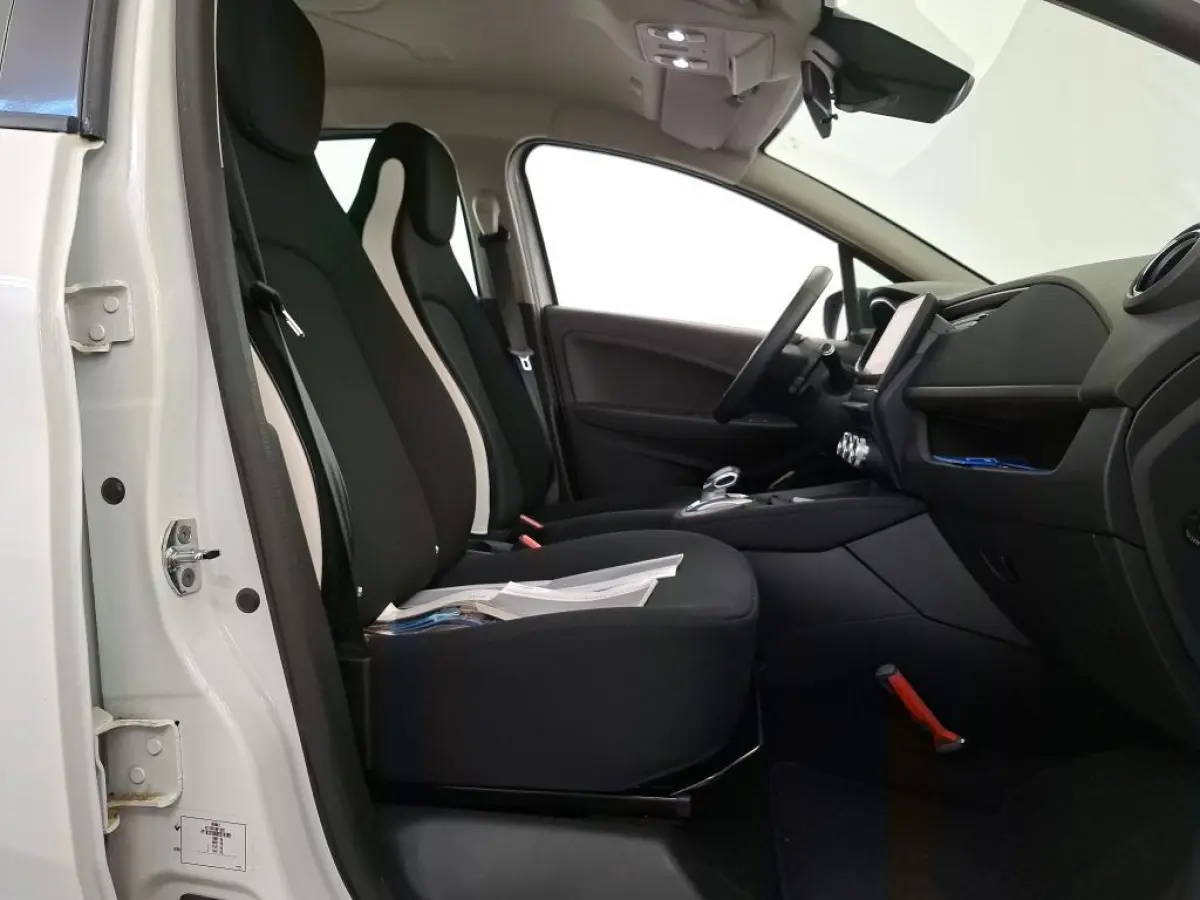 R110 LIFE 52 kWh (87% SOH) I KOOPACCU I NAVIGATIESYSTEEM I P-SENSOREN I CLIMATE CONTROL