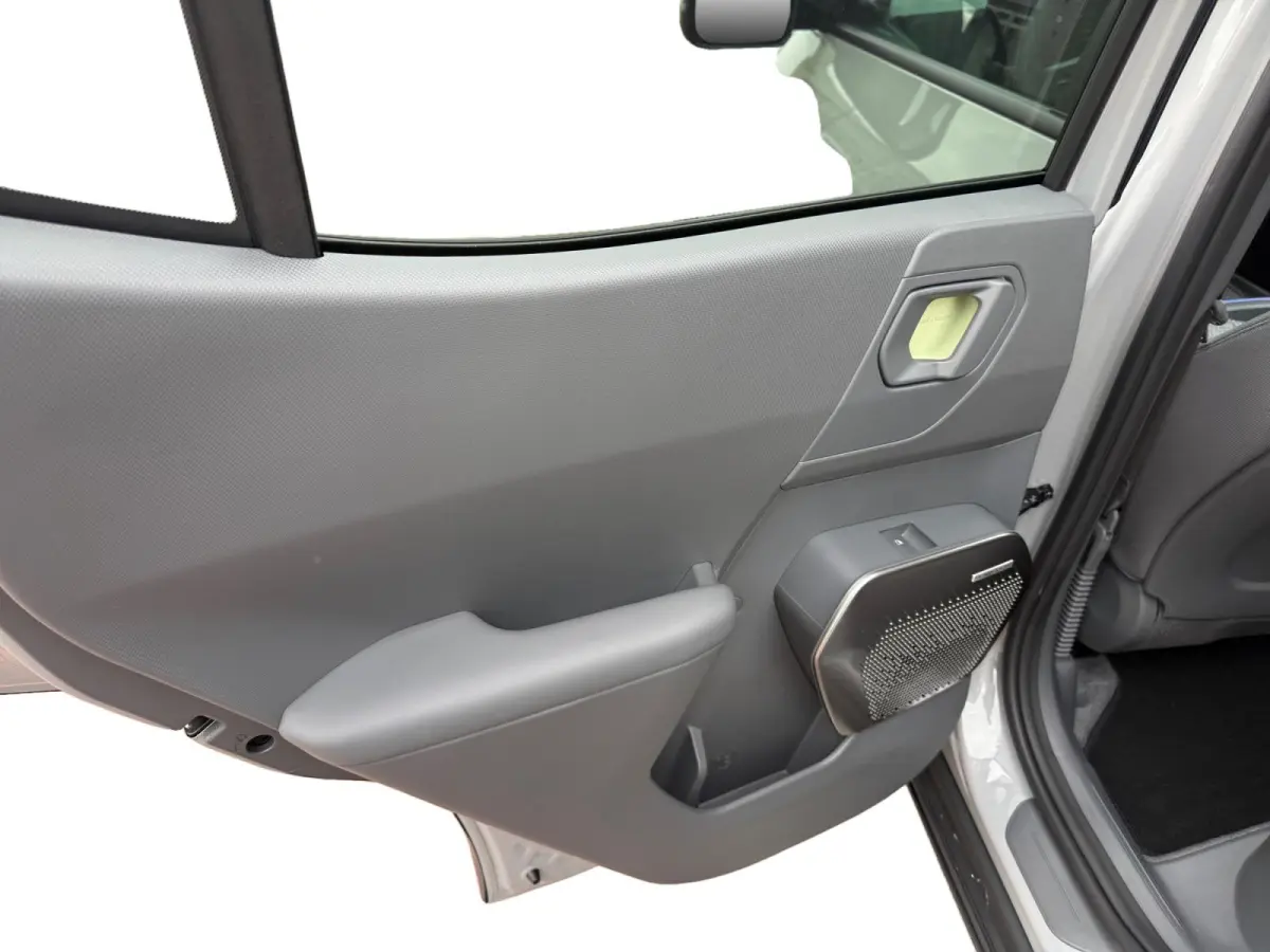 Plus Advanced 61 kWh Demonstratie auto | Leverbaar vanaf maart 2027 | Schuifdak | Stoel + Stuurverwarming |