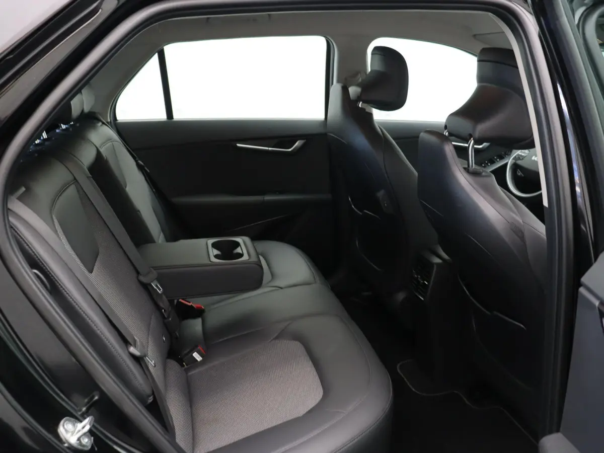 DynamicLine 64.8 kWh | SOH 97,9% | All Season Banden | WLTP 460km |