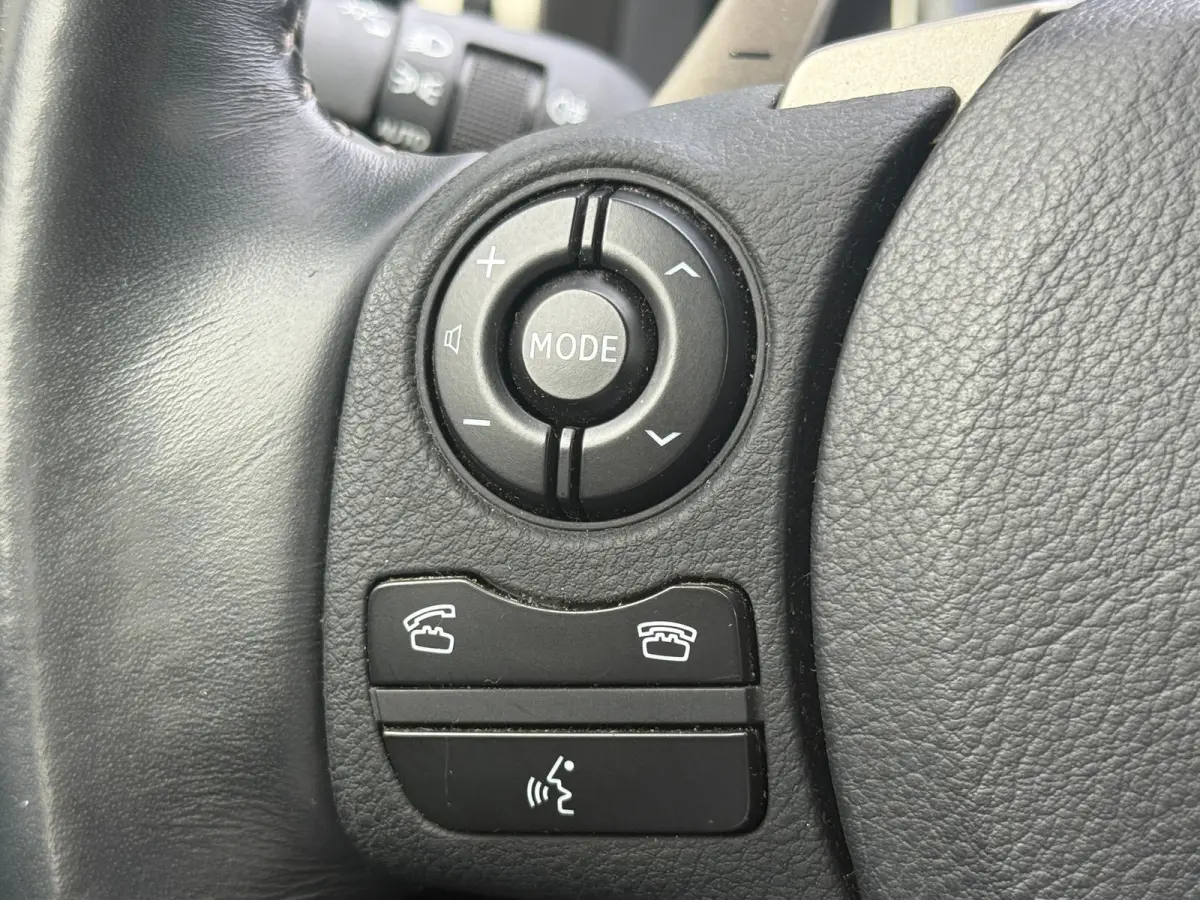 300h Business Line Navi|Camera|ORG NL Auto