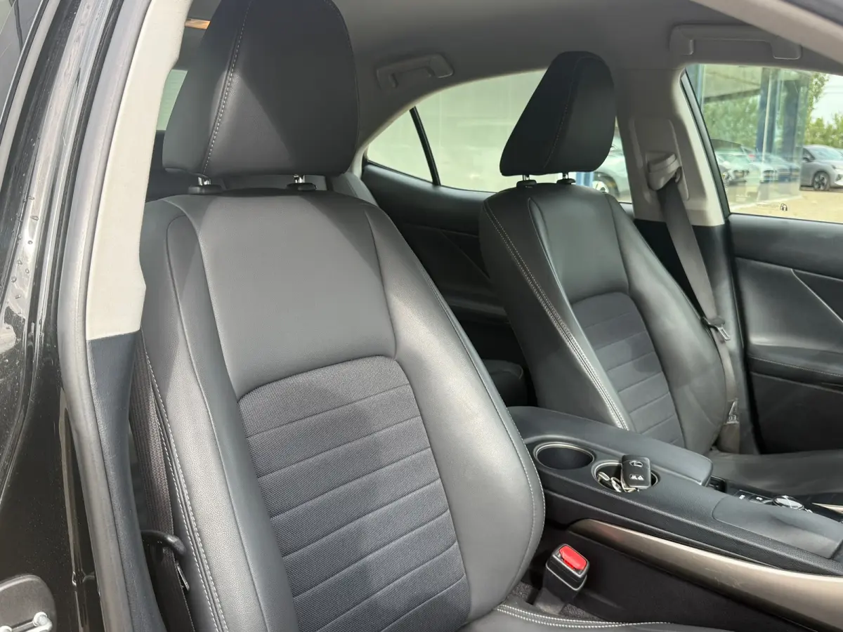 300h Business Line Navi|Camera|ORG NL Auto