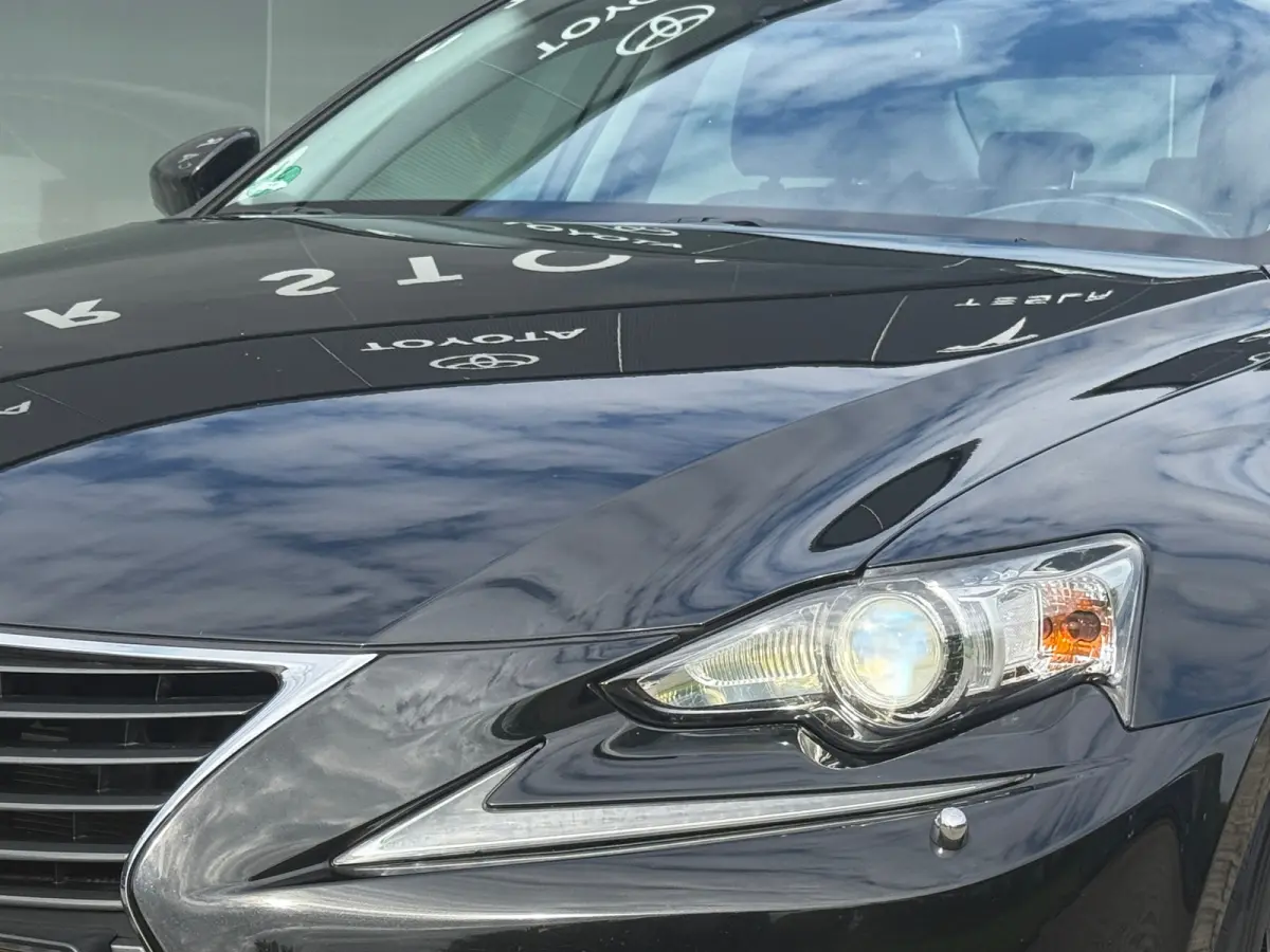300h Business Line Navi|Camera|ORG NL Auto