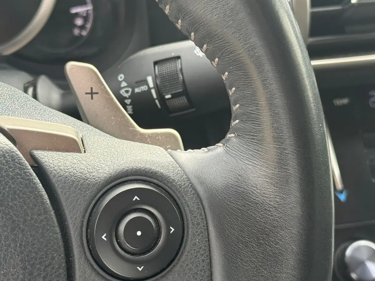 300h Business Line Navi|Camera|ORG NL Auto