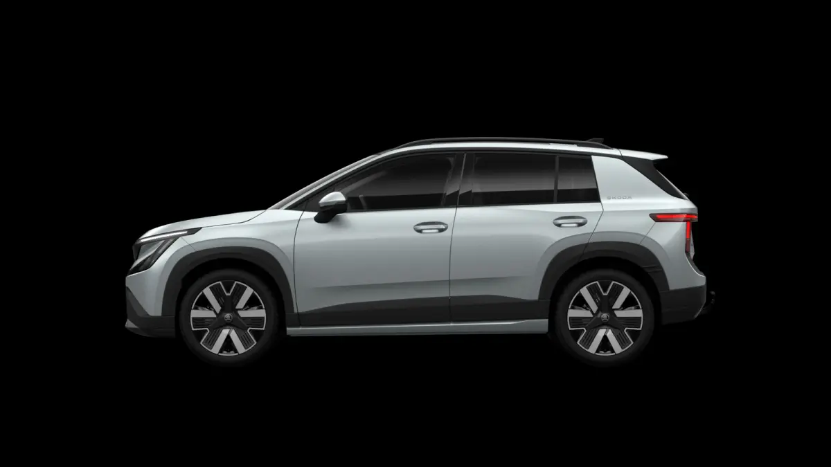 211pk Business Launch Edition 56 kWh | 19" Velgen | Panoramadak