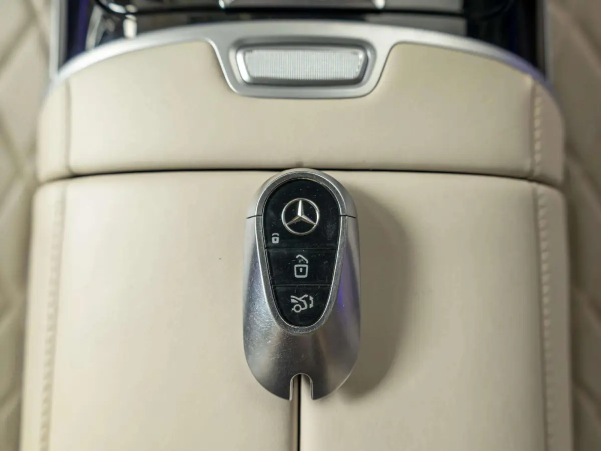450 4MATIC Lang Panorama dak